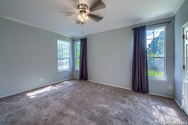 6303 Big Bend Cv Property Photo 13