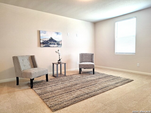 117 Antler Bnd Property Photo 8