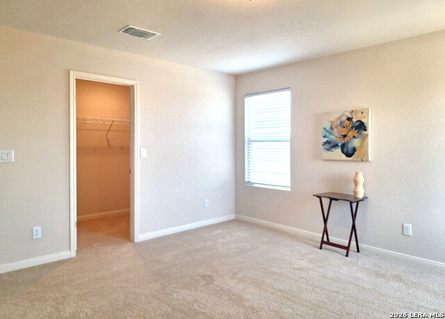 117 Antler Bnd Property Photo 12