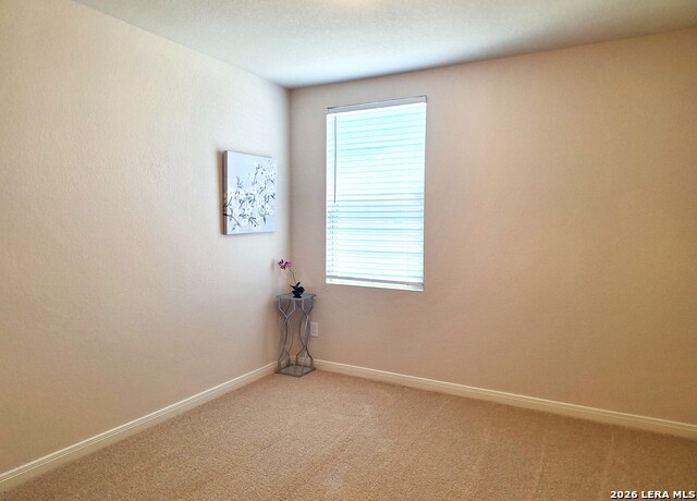 117 Antler Bnd Property Photo 14
