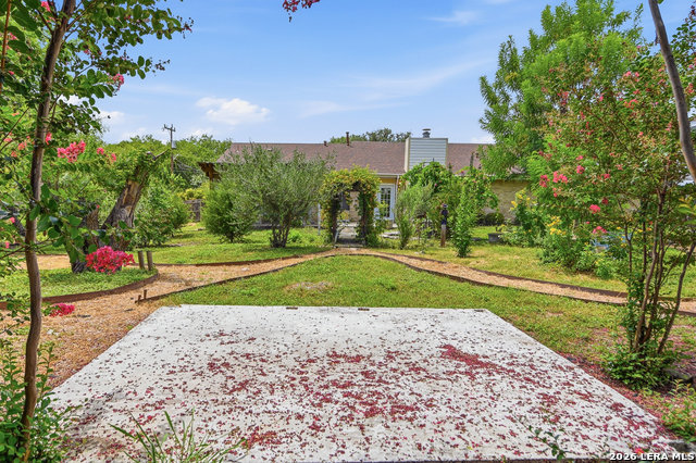 10914 Link Property Photo 61