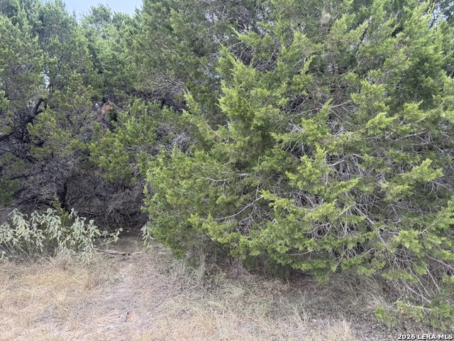 1567 Canyon Bnd Property Photo 6