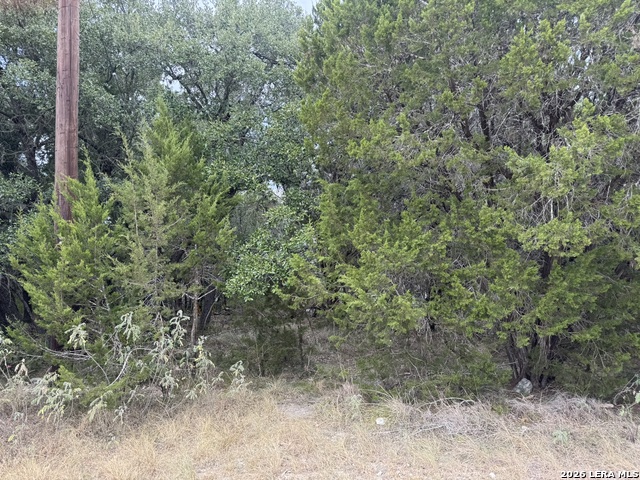 1567 Canyon Bnd Property Photo 8