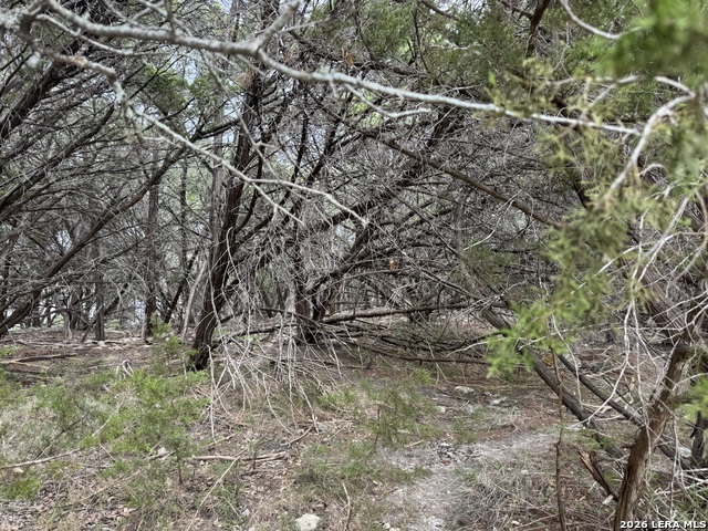 1567 Canyon Bnd Property Photo 9