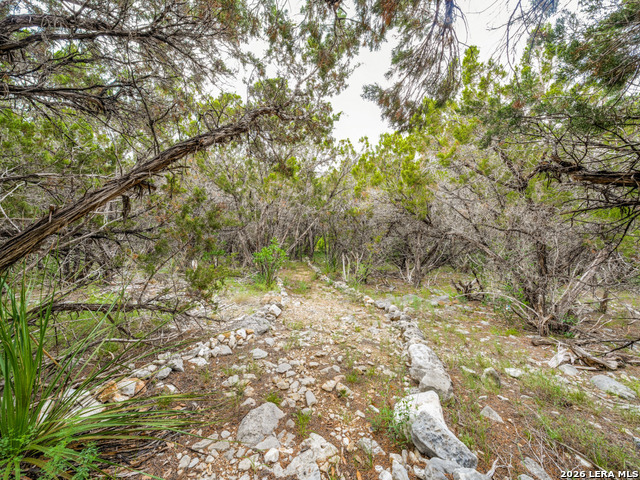 18215 Wild Onion Property Photo 39