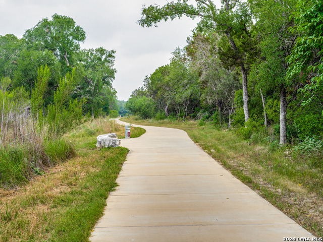 18215 Wild Onion Property Photo 40