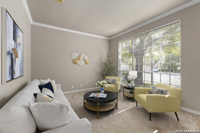 13708 Shavano Walk Property Photo 5