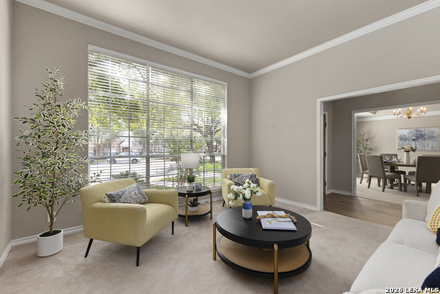 13708 Shavano Walk Property Photo 6