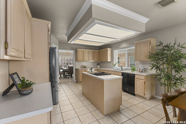 13708 Shavano Walk Property Photo 15