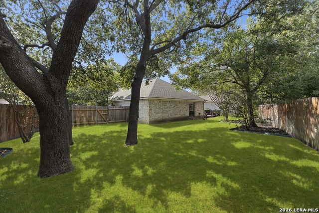 13708 Shavano Walk Property Photo 38