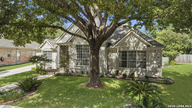 13708 Shavano Walk Property Photo 46