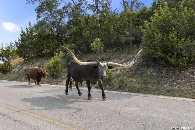 Lot 43 Estancia Ln Property Photo 24