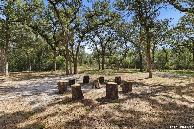 180 Sandy Oaks Property Photo 23
