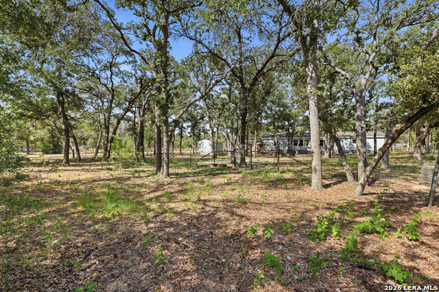 180 Sandy Oaks Property Photo 24