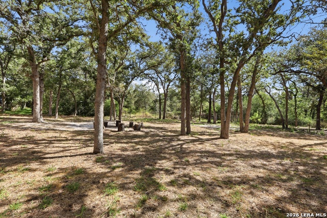 180 Sandy Oaks Property Photo 27