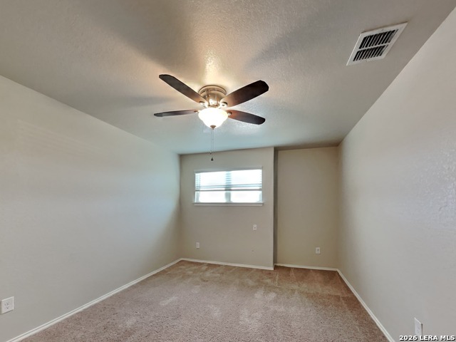 3914 Colemans Property Photo 10