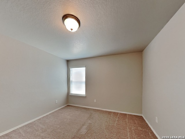 3914 Colemans Property Photo 16