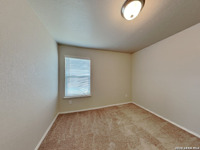 3914 Colemans Property Photo 18