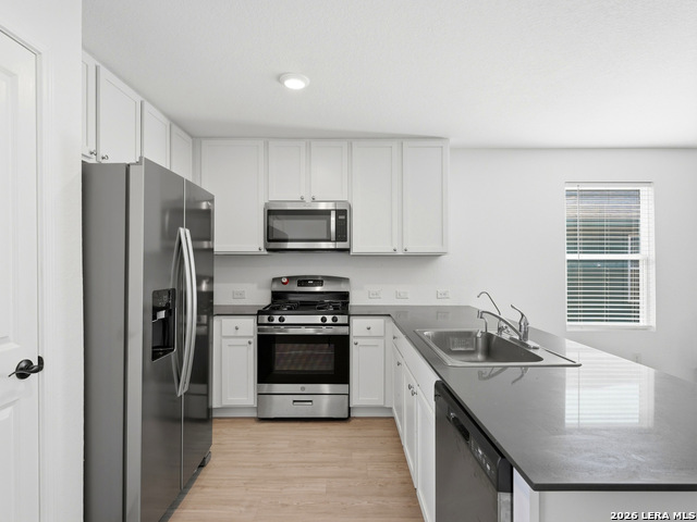 7851 Nessie Trl Property Photo 12