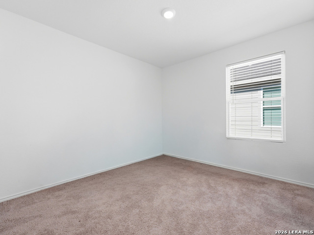 7851 Nessie Trl Property Photo 14