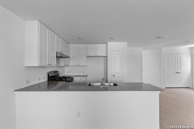 8623 Astral Pl Property Photo 10