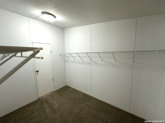 491 Tejas Trl Property Photo 11