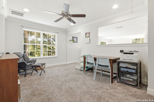 8806 Shoshoni Trl Property Photo 20