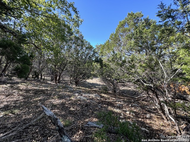 1040 Pinon Pass Property Photo 3