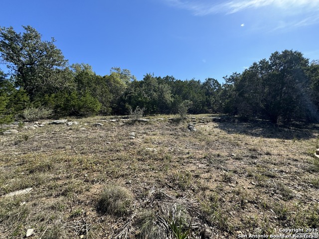 1040 Pinon Pass Property Photo 4