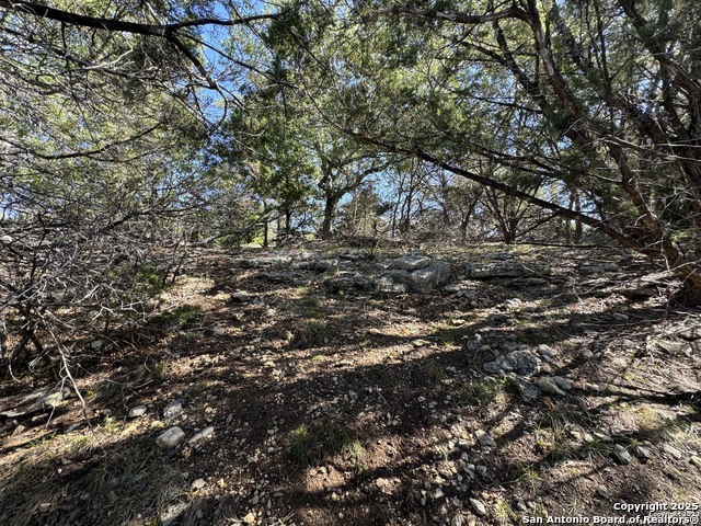 1040 Pinon Pass Property Photo 5
