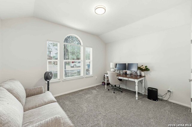 1106 Seven Iron Way Property Photo 42