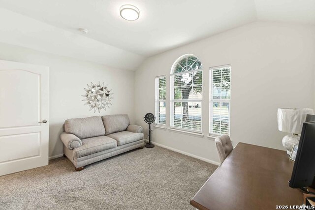 1106 Seven Iron Way Property Photo 43
