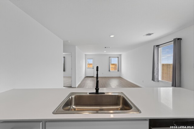 11625 Dog Rose Property Photo 10