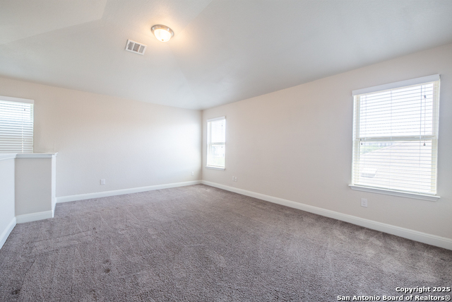 6819 Black Diamond Property Photo 19