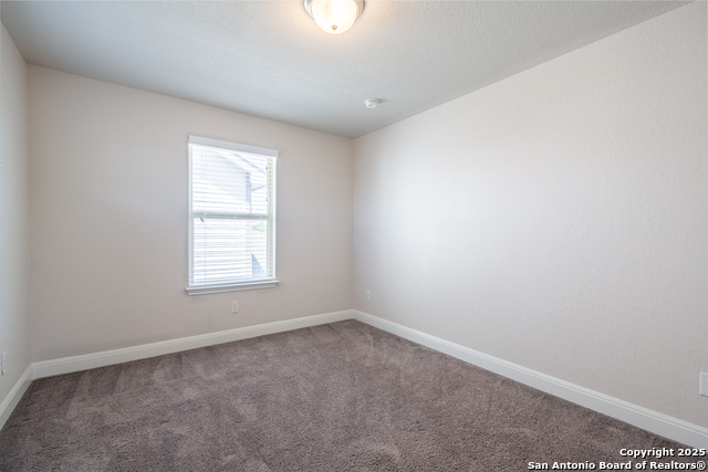 6819 Black Diamond Property Photo 22