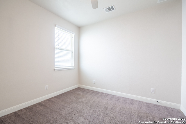 6819 Black Diamond Property Photo 28