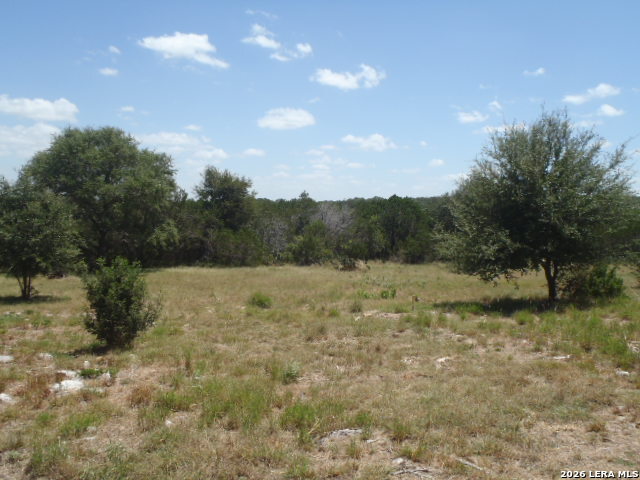 650 Shady Holw Property Photo 7