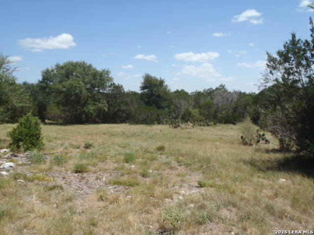 650 Shady Holw Property Photo 12