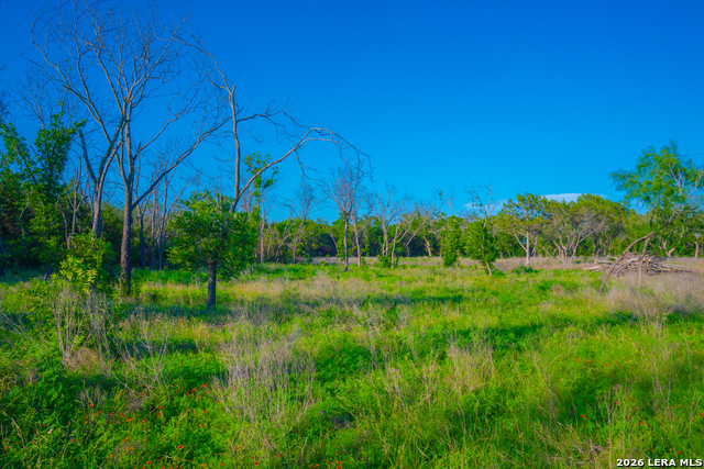 Tbd Wine Trail Dr Property Photo 13