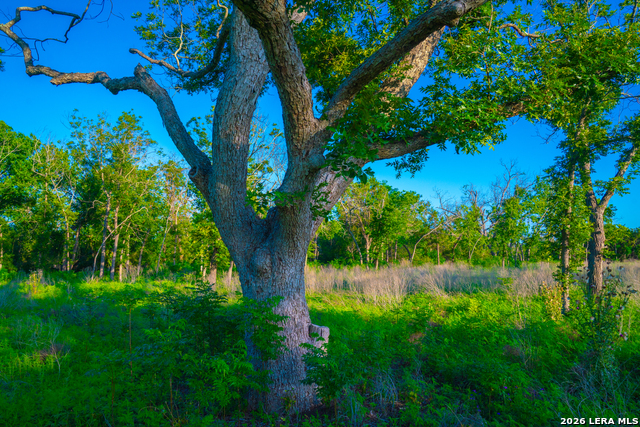 Tbd Wine Trail Dr Property Photo 19