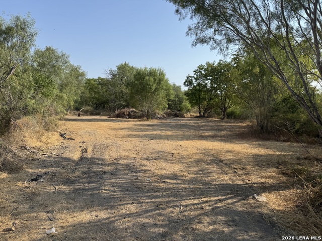 860 County Road 769 Property Photo 3