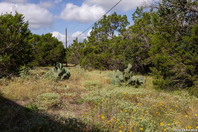 5726 W State Highway 46 Property Photo 9