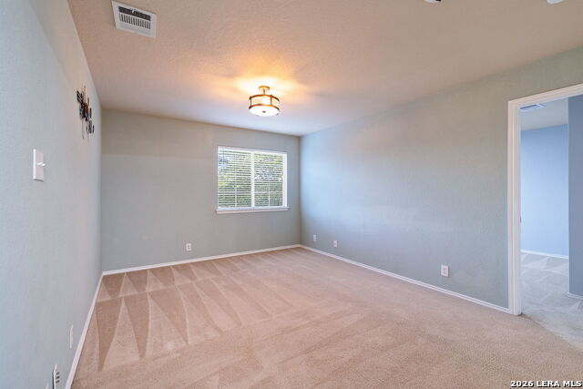 16903 Graham Walk Property Photo 19