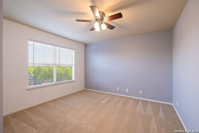 16903 Graham Walk Property Photo 20