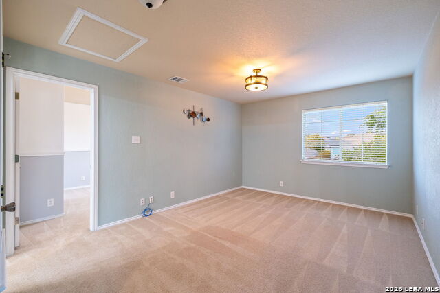 16903 Graham Walk Property Photo 21