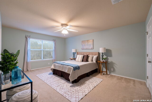 16903 Graham Walk Property Photo 24