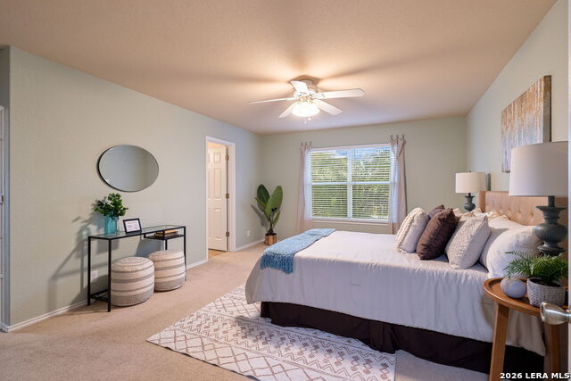 16903 Graham Walk Property Photo 25