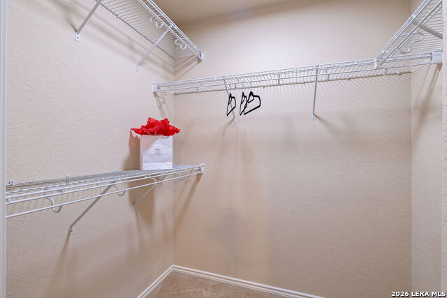 16903 Graham Walk Property Photo 27