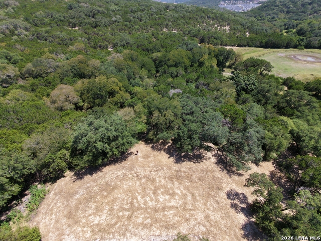 20311 Bobwhite Run Property Photo 3
