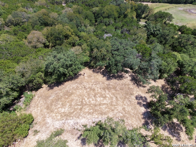 20311 Bobwhite Run Property Photo 5